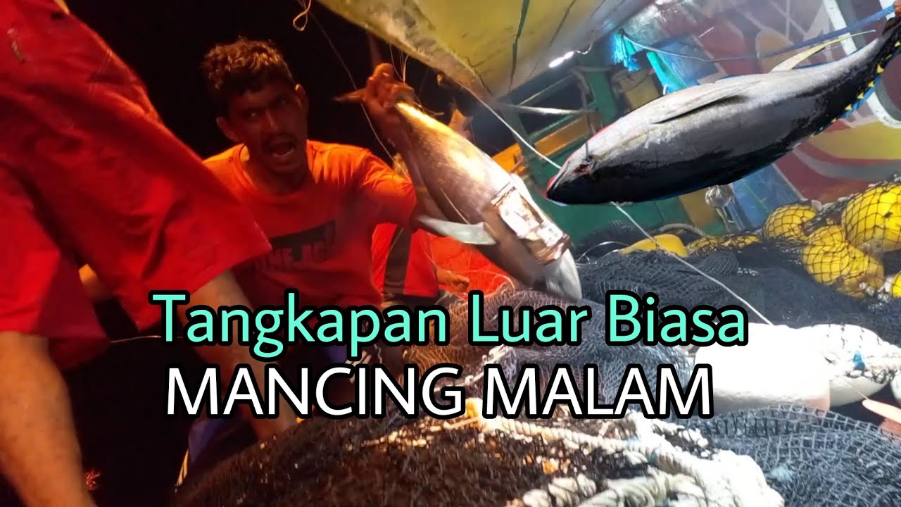 MALAM YANG MENAKJUBKAN ❗ACEH, SURGA MEMANCING ! Tangkapan Tuna Luar Biasa, Mengagumkan
