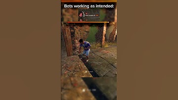 Dbd bots are something else 😭