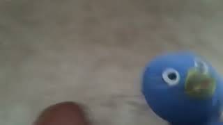 Accurate Preview 2 Pablo Csupo