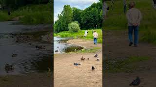 15.7.20.25/деньги плохая мотивация/🌏планета Земля🧬
