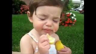 BebÃªs, limÃµes e muitas caretas engraÃ§adas / Babies, lemons and lots of funny expressions