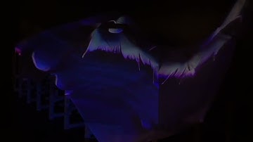 Timelapse Perlin Noise Field @ NP3 RE:Search:Gallery