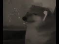 اغنية تبجي المطي
