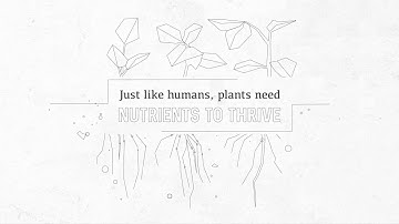 Nutrient Management: Learning the NPK