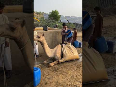 هرع أهالي القرية لجلب المياه فور سماعهم بالخبر