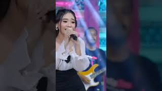 Download Mp3 πΈπͺπππ||π»ππππ£πππ #ππππππ Gudang lagu Download Mp3 πΈπͺπππ||π»ππππ£πππ #ππππππ