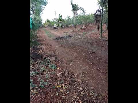 ADITI 600 Lt boom sprayer for pomogrenet filed