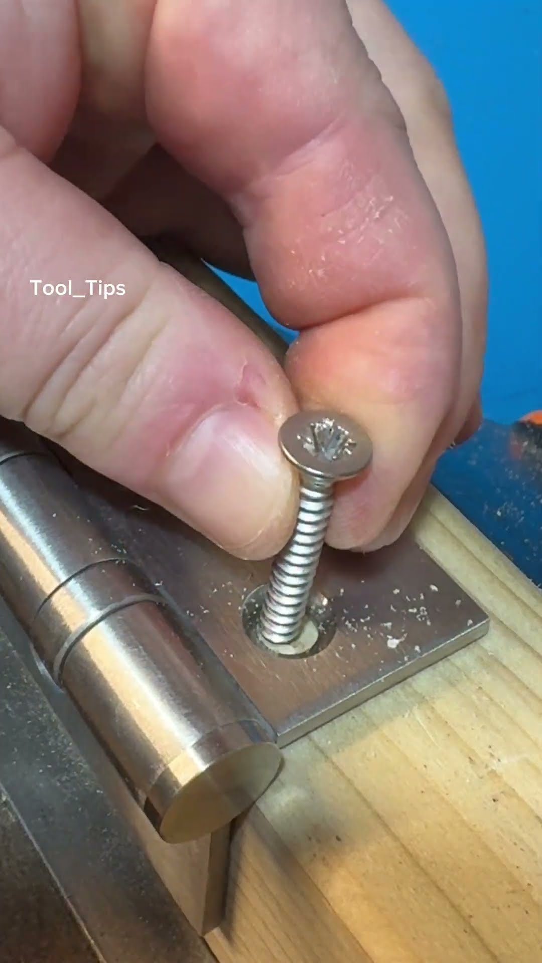 Screwing Door Hinge ?