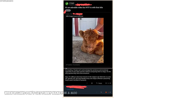 Funny r/woooosh moments v163