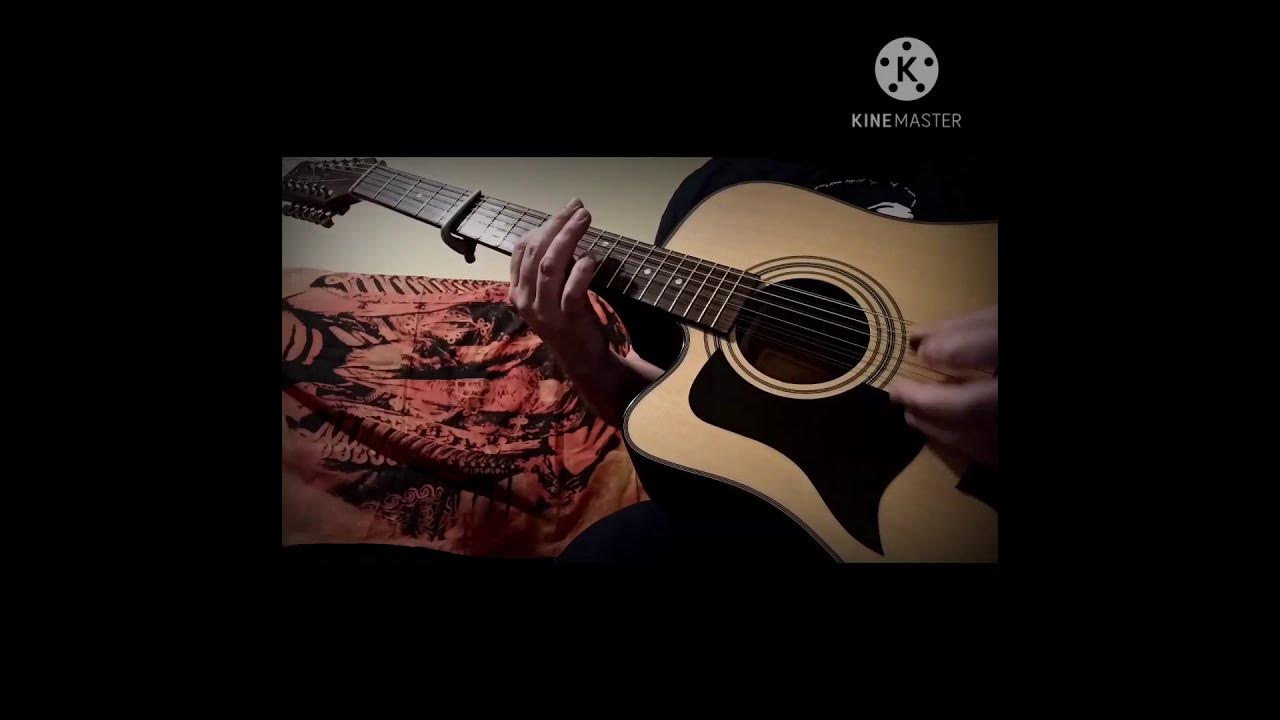 12 strings guitar. 12 strings guitar