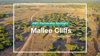Partnership Spotlight: Mallee Cliffs National Park (NSW)