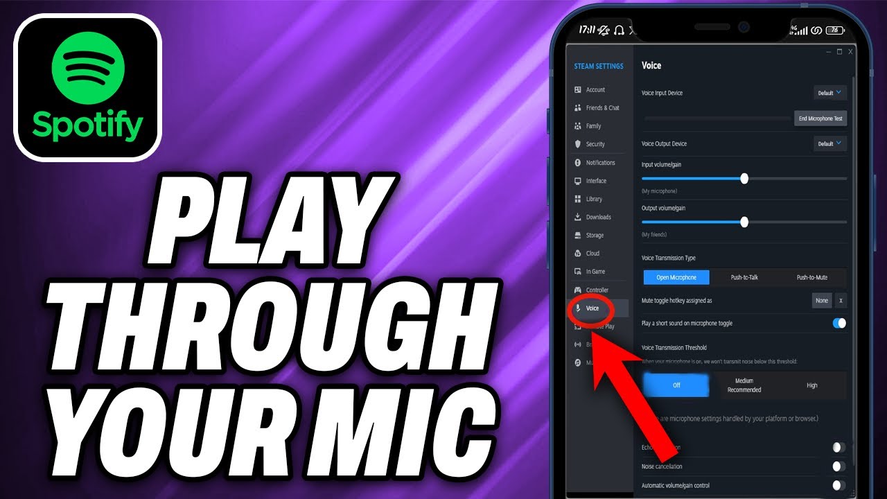 How To Play Spotify Through Your MIC (2025) - Quick Help - YouTube