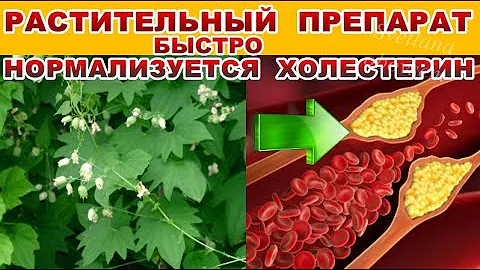 НЕ ПЕЙТЕ СТАТИНЫ ОТ ХОЛЕСТЕРИНА -ЗАМЕНИТЕ ИХ НАТУРАЛЬНЫМ РАСТИТЕЛЬНЫМ ,БЕЗВРЕДНЫМ ПРЕПАРАТОМ.