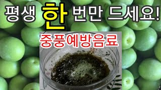 🌻 매실로 만드는 중풍 예방 음료. 평생 한 번만☝ 드시면 중풍에 걸리지 않는다고 합니다.부모님께 꼭 만들어 드리세요. 고혈압 있으신 분들은 꼭 드셔야 합니다!!!