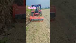 Mulcher se makka ki hakai #viralvideo #viral #video #explore