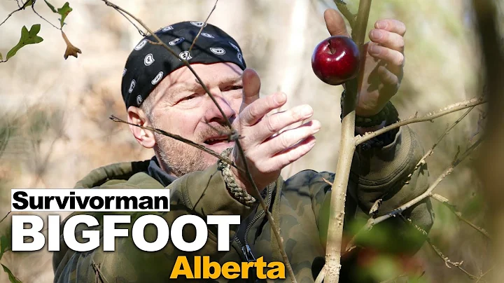 Survivorman Bigfoot | Episode 1 | Alberta | Les St...