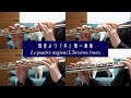 【#フルート】ヴィヴァルディ四季より「冬」第一楽章 編曲：中島雅彦　Le quattro stagioni"L'Inverno"1mov.【演奏してみた】#flute