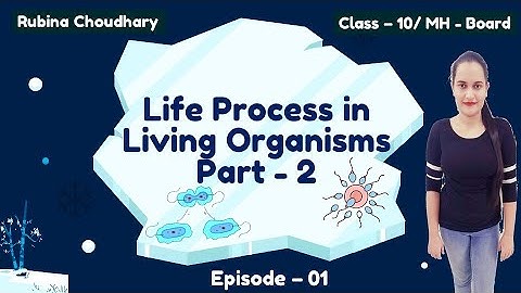 Asexual Reproduction | Life Process in Living Organisms  Part - 2 | MH - SSC Board Class - 10