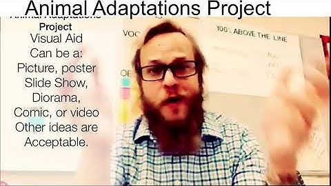 Animal Adaptations Project Part 2- Visual AIDS, Final Drafts and Presentations