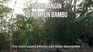 Suara Angin Meniup Daun Bambu