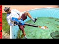 FISH ROCKET LAUNCHER! **DIY w/ LEAF BLOWER -Safe for Fish**