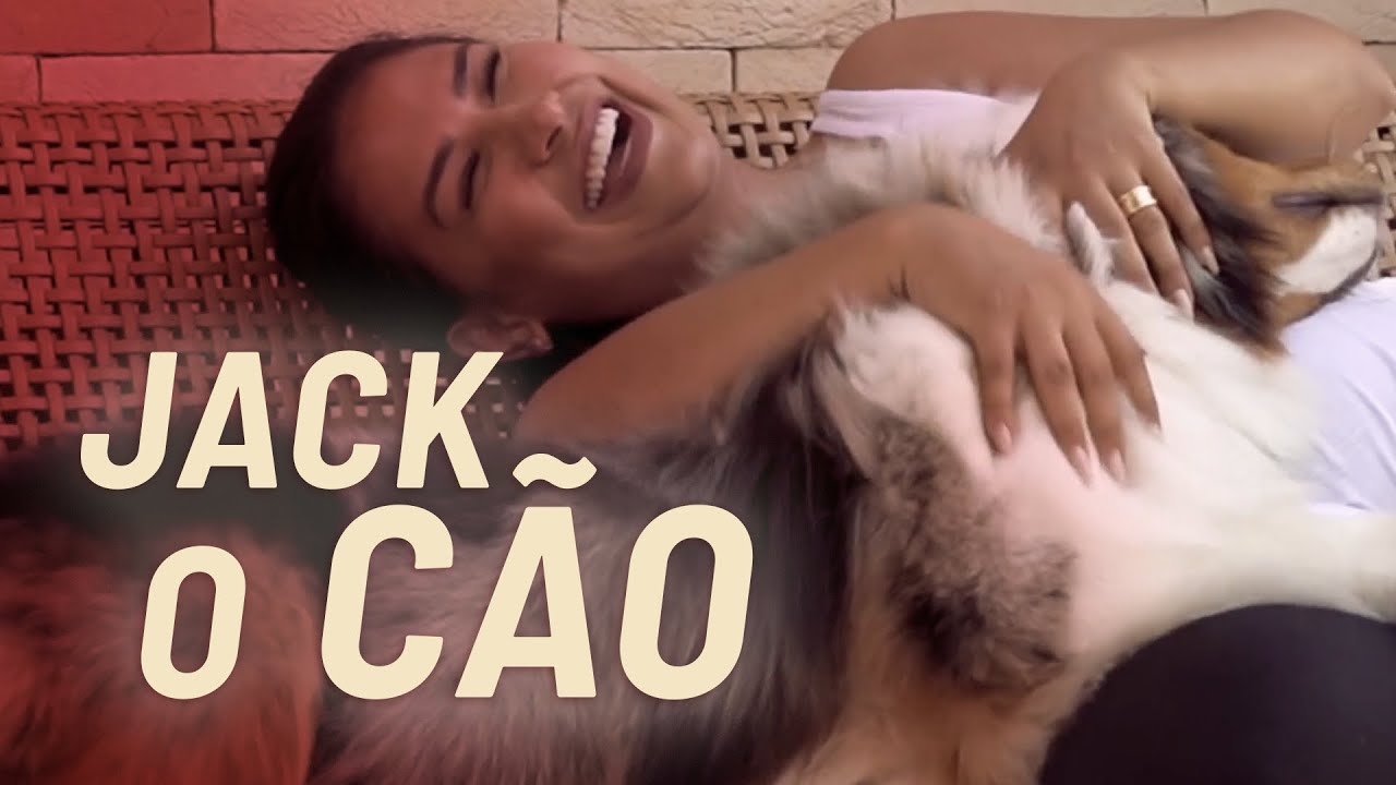 MEU CACHORRO É O CÃO!