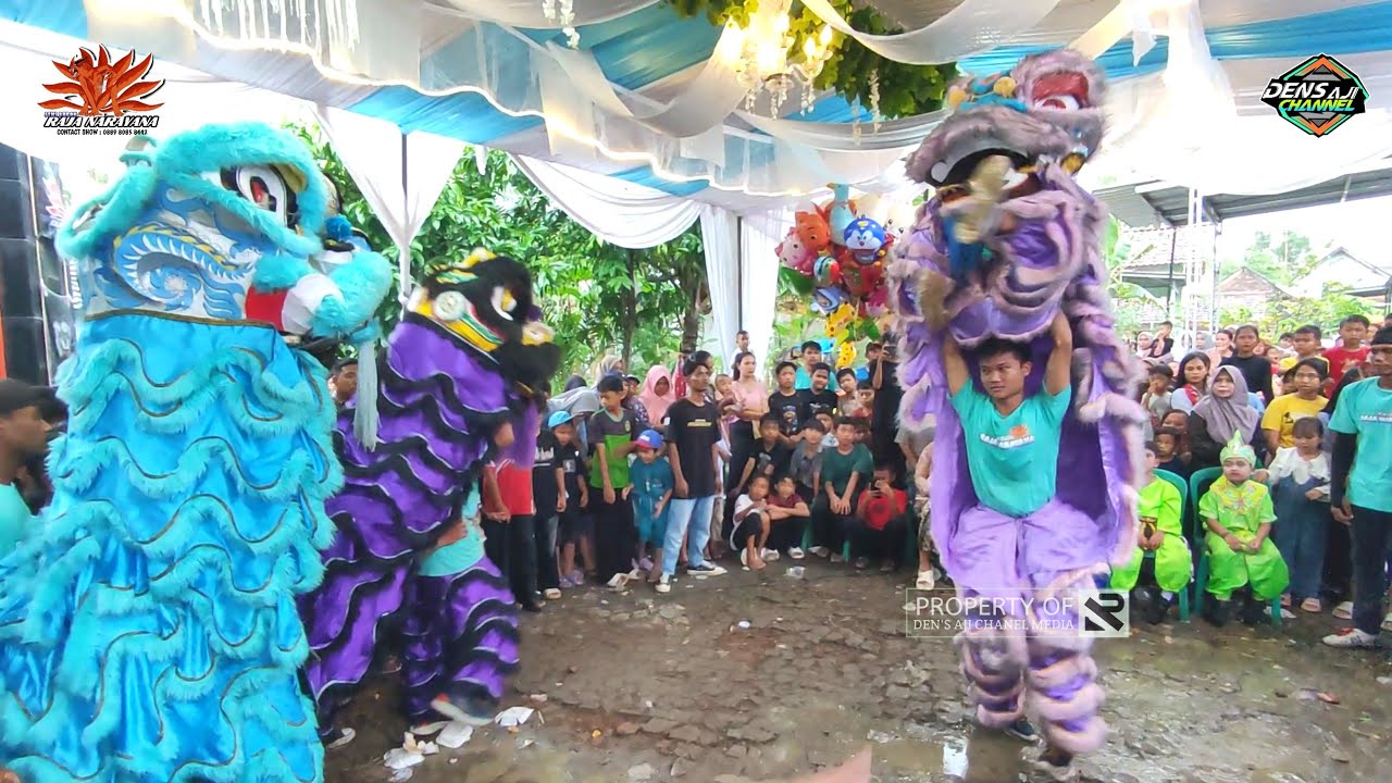 Aksi Barongsai - Mabok Tuak - Burok Raja Narayana Terbaru Live Ds. Parereja 21 April 2025