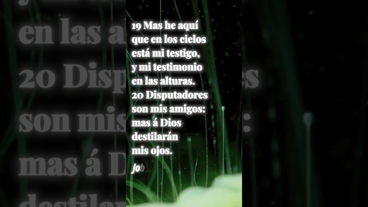 Dios siempre te cuida en tus tiempos difíciles #noestamossolos #puedestenerpaz