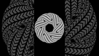 Spectral knot: Mesmerizing Black & White Shapes | #hypnotic #meditation