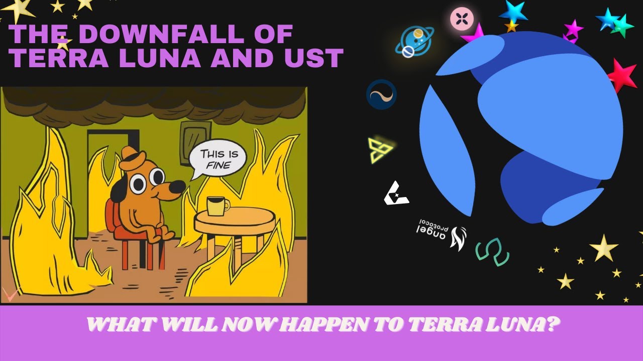 The Downfall Of Terra Luna And UST