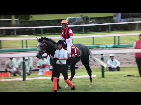 2019年  産経賞オールカマー  スティッフェリオ