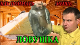 ✅МЫШЕЛОВКА своими руками эффективная ловушка для мышей из подручных средств пластиковой бутылки дача