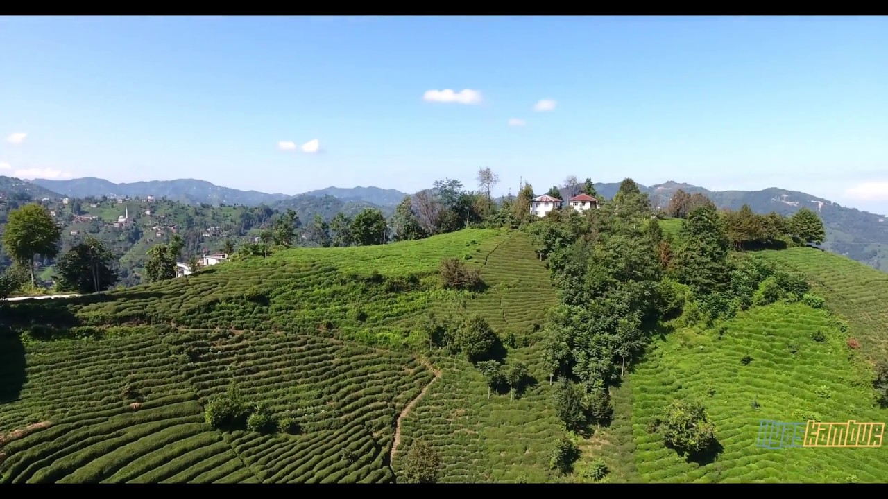 Çayeli Güzeltepe Köyü ve Haremtepe Köyü Havadan Çekim [4K]
