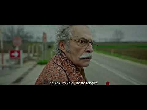 Şahsiyet | Altında Bir Çiçek Gibi Ezildim