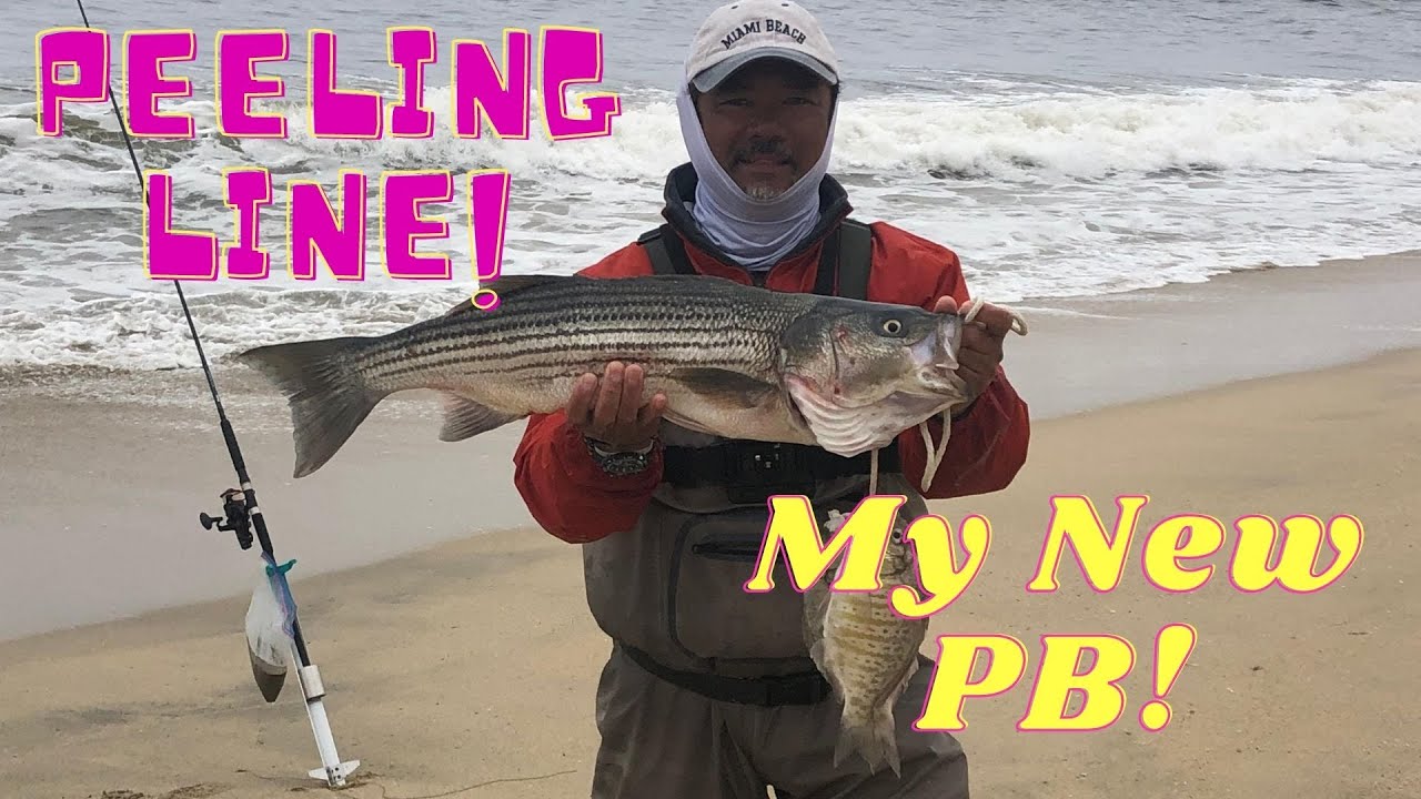 Half Moon Bay Striped Bass & Surfperch Fishing YouTube