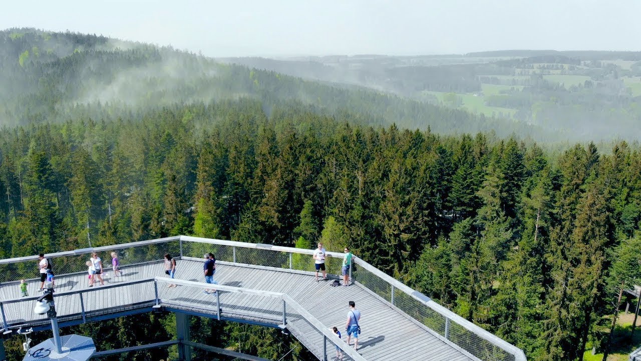 Treetop Walkway in Lipno nad Vltavou
