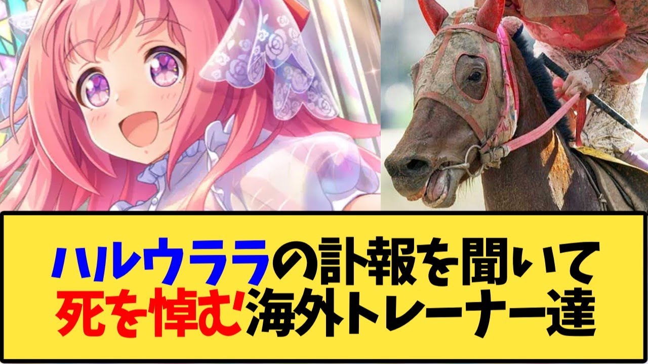 【ウマ娘 海外の反応】ハルウララの訃報を聞き、死を悼む海外トレーナー達【反応集】