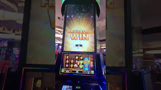 Fruit Ninja Bonus win. #lasvegas #slots #slotbonus #slotwin #bonusslotwin #lasvegasslots #fruitninja screenshot 4