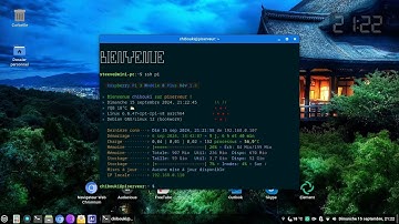 Script MOTD Linux / Raspberry Pi (français)