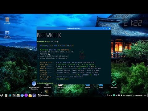 Script MOTD Linux / Raspberry Pi (français)