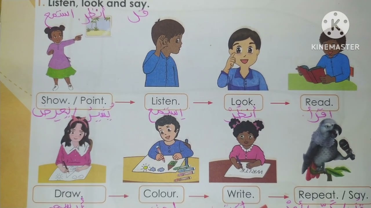 my school commands