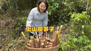 雨后山上的笋子疯长两口子越掰越上瘾最后带伤背两背笋子回家