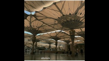 { وهي تجري بهم في موجً كالجبال ونادى نوح إبنه } القارئ طارق محمد