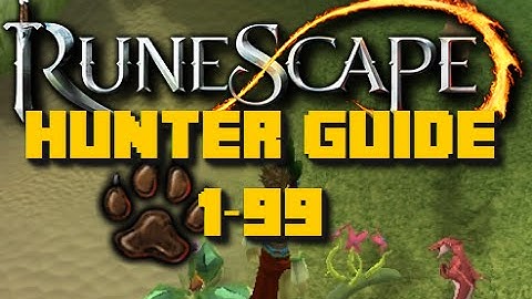 Runescape Training Guide: 1-99 Hunter Guide Runescape 2016 - Fast Methods - iAm Naveed