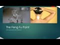 Feng fu  the healing ice therapy