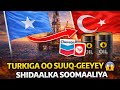 YAAB TURKIGA OO BILAABAY SUUQ GEYNTA SHIDAALKA SOOMAALIYA YAAB TURKIGA OO BILAABAY SUUQ GEYNTA SHIDAALKA SOOMAALIYA