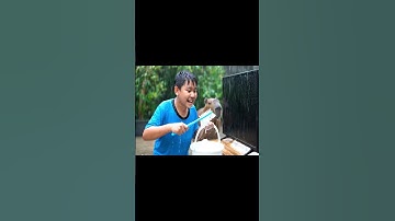 Capy cùng anh và cách lau ti siêu sạch #capybara #vuive #giaitri #cuocsongcuacapy