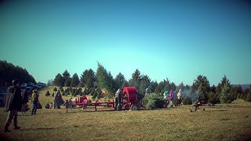Middleburg Christmas Tree Farm in Virginia