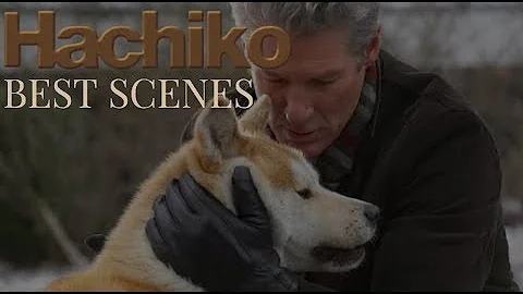 HACHIKO- Try not to cry - DayDayNews