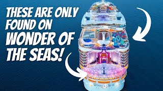 10 Things ONLY found on Royal Caribbean Wonder of the Seas!